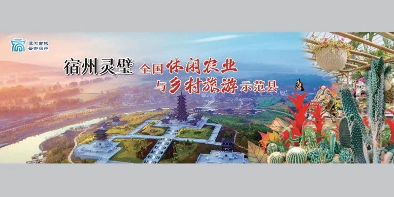 如何做出一道色香味俱全的家常菜？